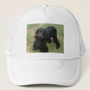 schwarzenglische Cocker spaniel full 2 Truckerkappe