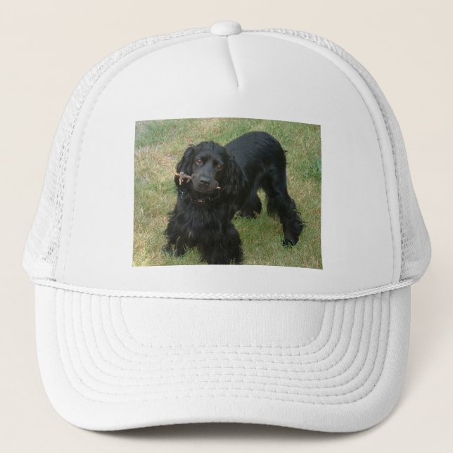 schwarzenglische Cocker spaniel full 2 Truckerkappe (Vorderseite)
