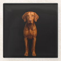 Schwarzer 4 Luxe Glasuntersetzer, agiler Vizsla-Hu