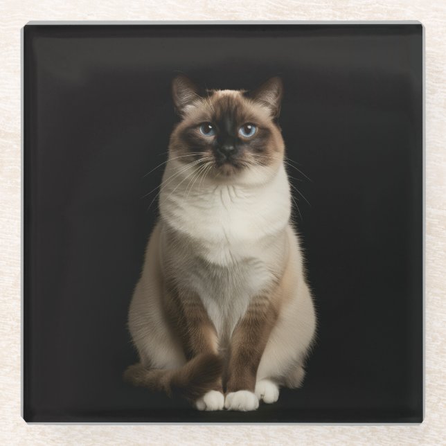 Schwarzer 4 Luxe Glasuntersetzer, Birma-Katze Glasuntersetzer (Vorderseite)