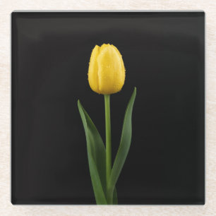 Schwarzer 4 Luxe Glasuntersetzer, Goldgelbe Tulpe Glasuntersetzer