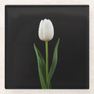 Schwarzer 4 Luxe Glasuntersetzer, Perlenweiße Tulp Glasuntersetzer