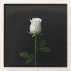 Schwarzer 4 Luxe Glasuntersetzer, Pure White Rose Glasuntersetzer