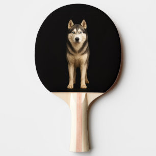 Schwarzer 4 Luxe-Tischtennisschläger, Icy Elite Hu Tischtennis Schläger