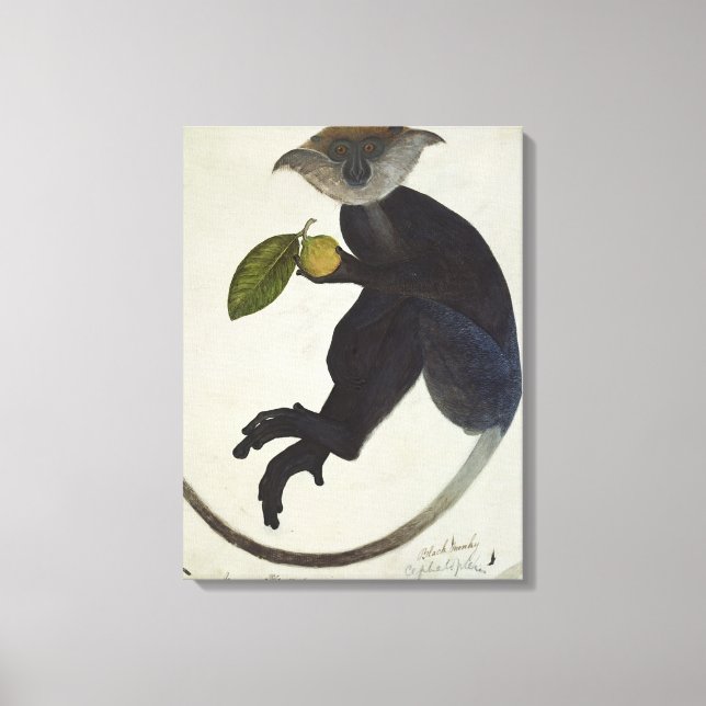 Schwarzer Affe Leinwanddruck (Vorderseite)