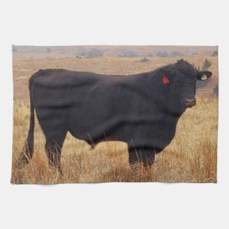 Schwarzer Angus Steer Grazing mit Herde Geschirrtuch