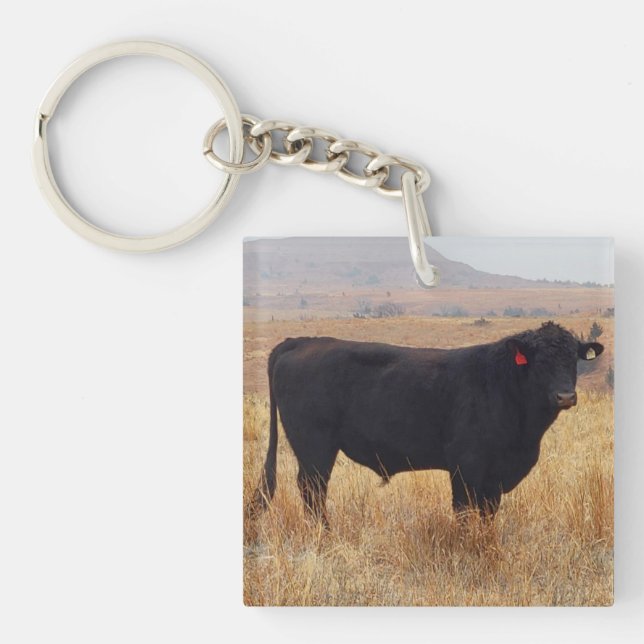 Schwarzer Angus Steer Grazing mit Herde Schlüsselanhänger (Vorderseite)