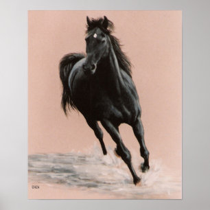 Schwarzer arabischer Pferdedruck Poster