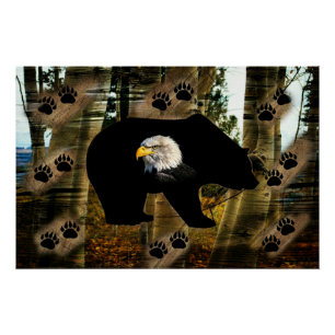 Schwarzer Bär Adlerbär Paw Prinz Wilderness Poster
