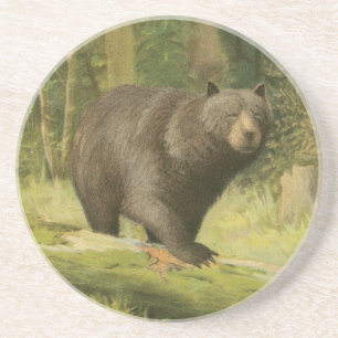 Schwarzer Bär, der auf einen Baum-Stamm tritt Untersetzer