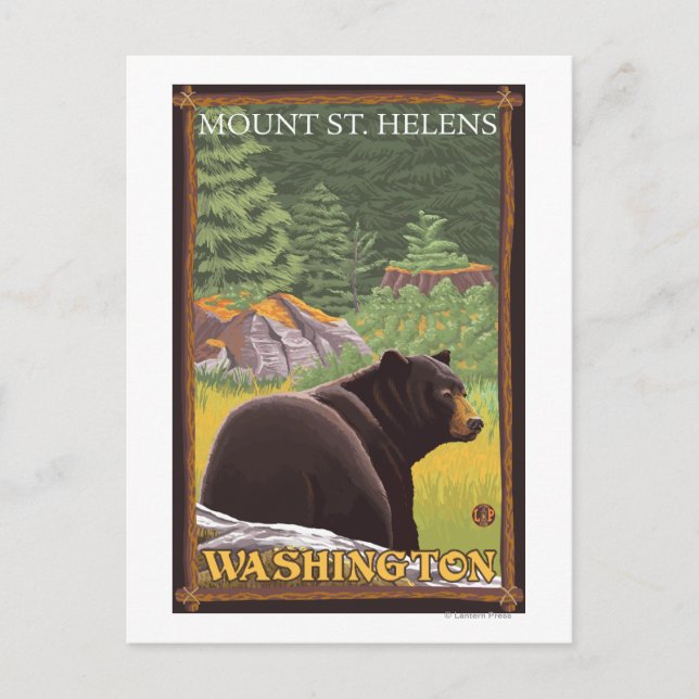 Schwarzer Bär im Wald - Berg St. Helens, WA Postkarte (Vorderseite)