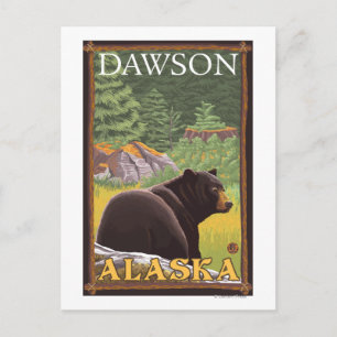 Schwarzer Bär im Wald - Dawson, Alaska Postkarte