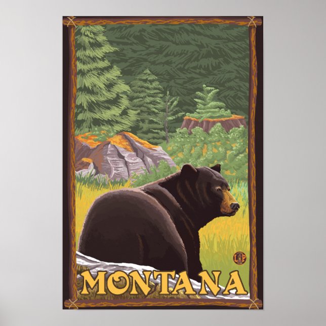 Schwarzer Bär im Wald - Montana Poster (Vorne)