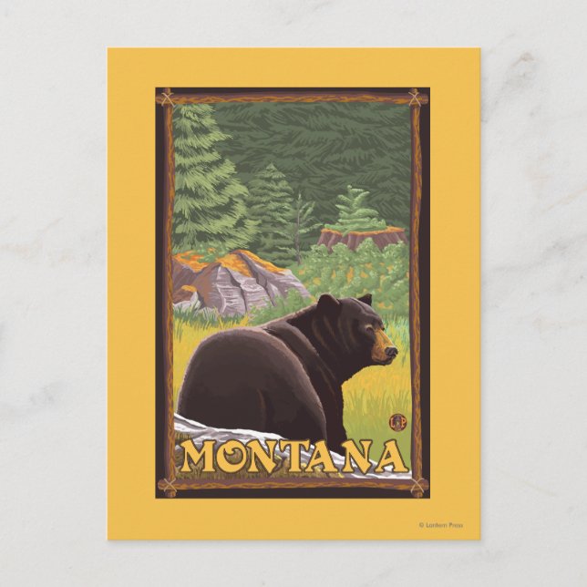 Schwarzer Bär im Wald - Montana Postkarte (Vorderseite)