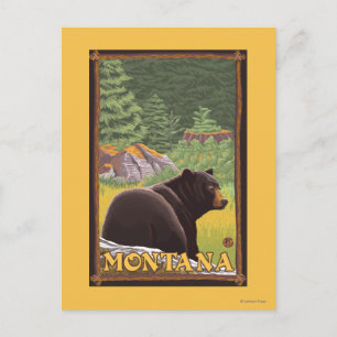 Schwarzer Bär im Wald - Montana Postkarte