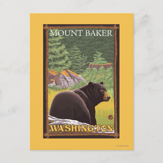 Schwarzer Bär im Wald - Mount Baker, Washington Postkarte (Vorderseite)