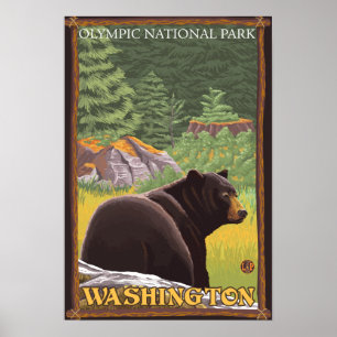 Schwarzer Bär im Wald - Olympischer Nat'l Park, WA Poster