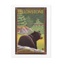 Schwarzer Bär im Wald - Yellowstone Nationalpark