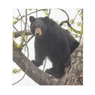 Schwarzer Bär klettern Notizblock