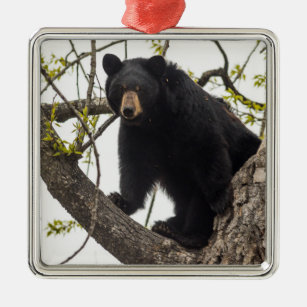 Schwarzer Bär klettern Ornament Aus Metall