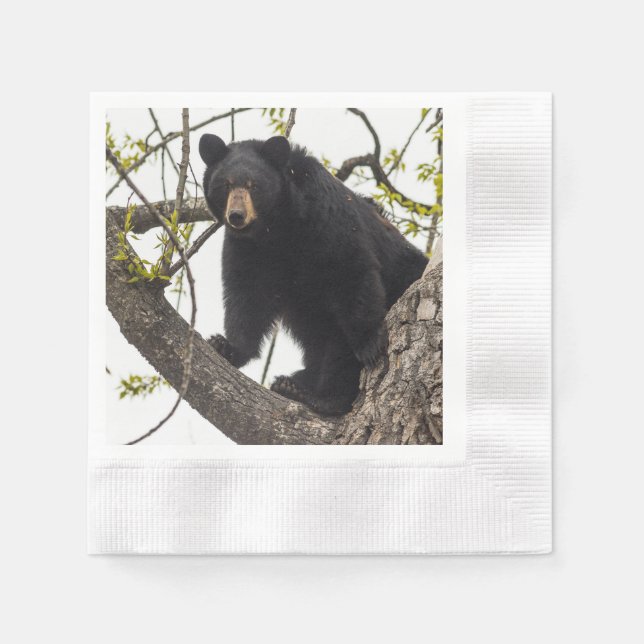 Schwarzer Bär klettern Serviette (Vorderseite)