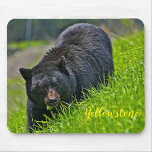 Schwarzer Bär Mäusec$auflage-yellowstone Mousepad