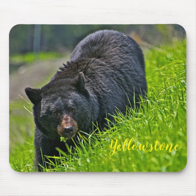 Schwarzer Bär Mäusec$auflage-yellowstone Mousepad (Vorne)