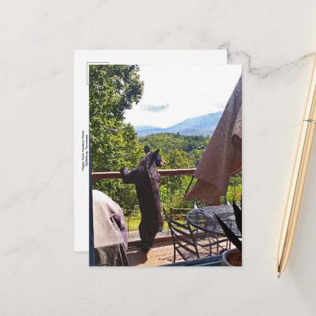 Schwarzer Bär mit Blick auf Gatlinburg Postkarte (Vorderseite/Rückseite Beispiel)