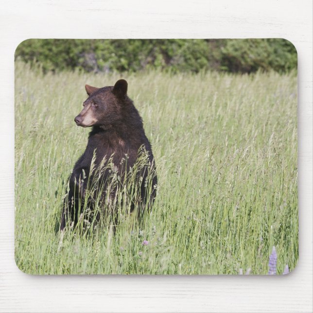 Schwarzer Bär Mousepad (Vorne)