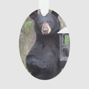 Schwarzer Bär Ornament