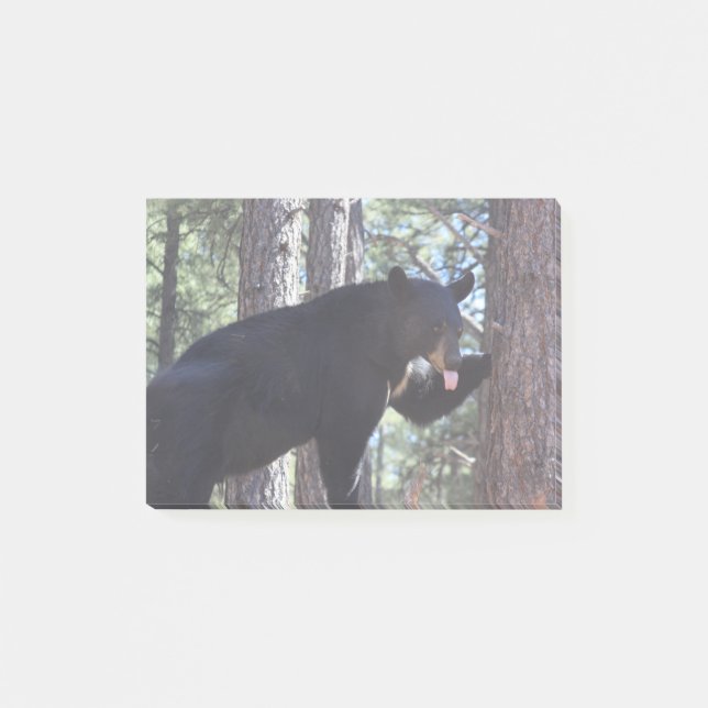Schwarzer Bär Post-it Klebezettel (Vorderseite)