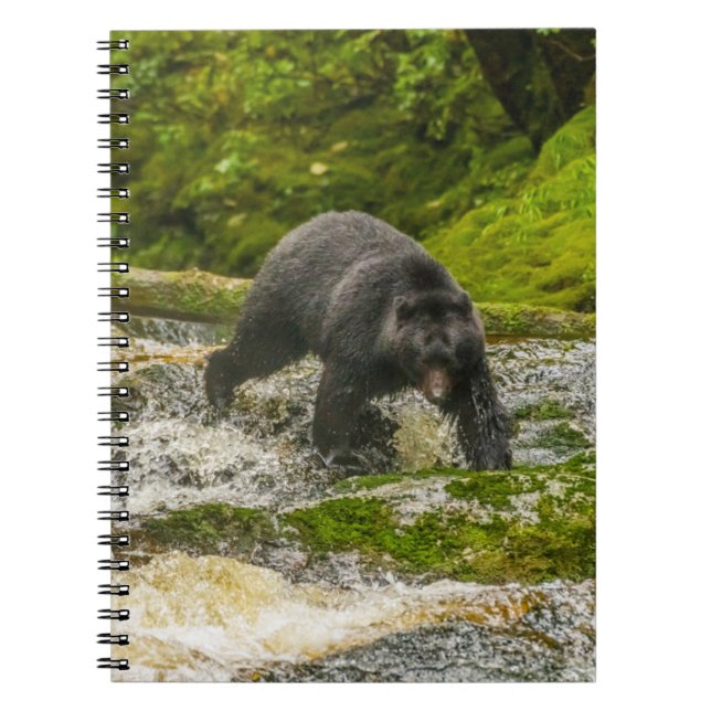 Schwarzer Bär | Qua Creek British Columbia Notizblock (Vorderseite)