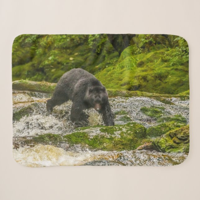 Schwarzer Bär | Qua Creek British Columbia Sherpadecke (Vorderseite (Horizontal))