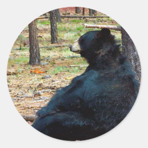 Schwarzer Bär Runder Aufkleber