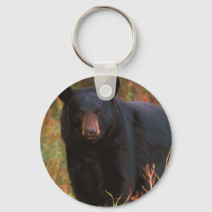 Schwarzer Bär Schlüsselanhänger