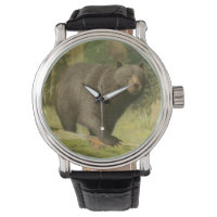 Schwarzer Bär Stepping auf einem Baumstamm
