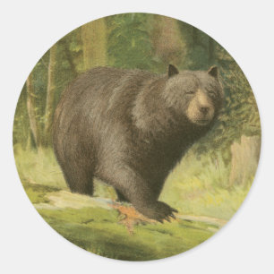Schwarzer Bär Stepping auf einem Baumstamm Runder Aufkleber