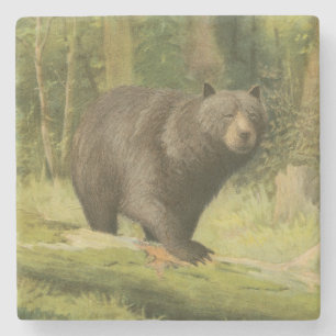 Schwarzer Bär Stepping auf einem Baumstamm Steinuntersetzer