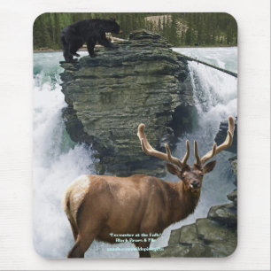 Schwarzer Bär und Elk Wildlife Supporter Mousepad