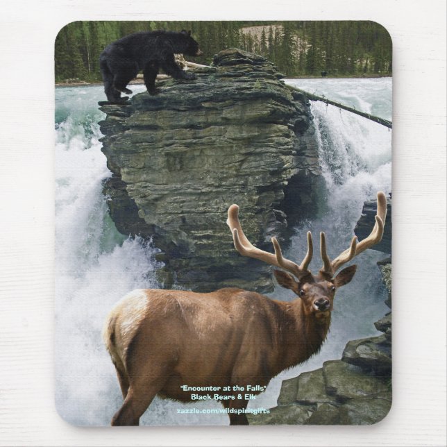 Schwarzer Bär und Elk Wildlife Supporter Mousepad (Vorne)
