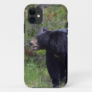 Schwarzer Bär Wildtierbärenliebhaber iPhone 11 Hülle