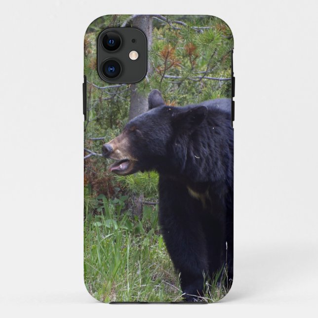 Schwarzer Bär Wildtierbärenliebhaber Case-Mate iPhone Hülle (Rückseite)