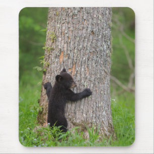 Schwarzer Bärenjunge   Great Smoky Mountains Mousepad