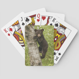 Schwarzer Bärenjunge im Baum Spielkarten