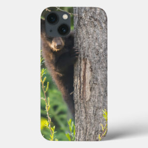 Schwarzer Bärenjunge im Frühling Case-Mate iPhone Hülle