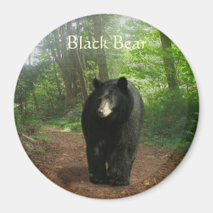 SCHWARZER BÄRENwald - Naturmagnet Magnet