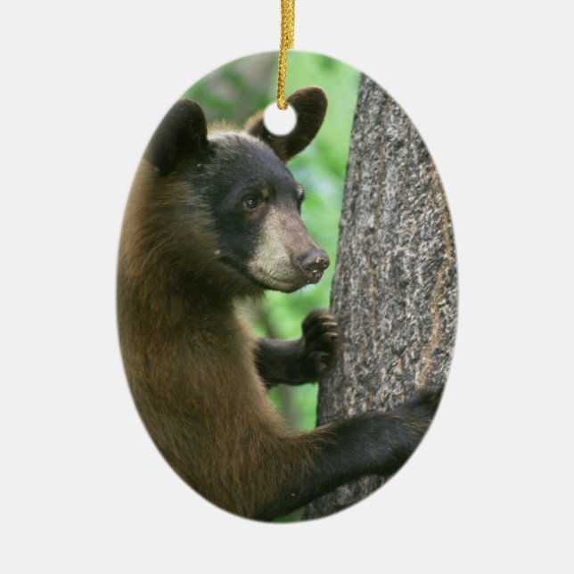 Schwarzer Bärn-Weihnachtsverzierung Keramikornament (Vorne)