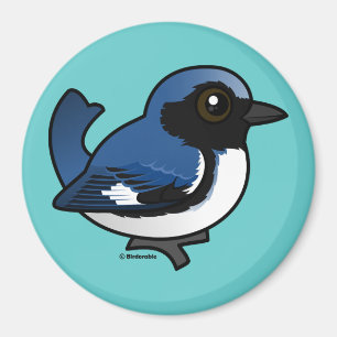 Schwarzer Blauer Warbler Magnet