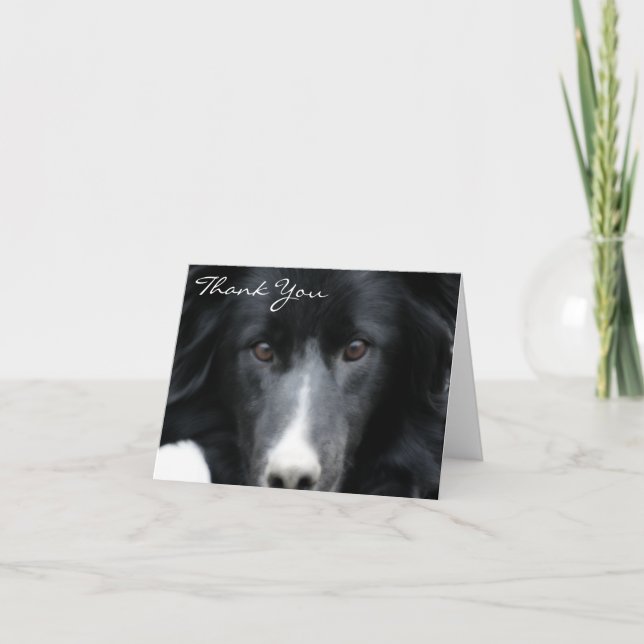 Schwarzer Border-Collie-Gesichts-Hund danken Ihnen Dankeskarte (Vorderseite)