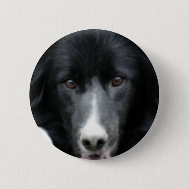 Schwarzer Border-Collie-Gesichts-Hundeknopf Button (Vorderseite)